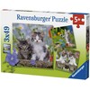 Ravensburger Dėlionė 3x49 vnt. - Kačiukai