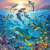 Ravensburger Dėlionė 3x49 vnt. - Povandeninis gyvenimas
