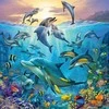 Ravensburger Dėlionė 3x49 vnt. - Povandeninis gyvenimas