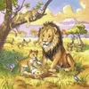 Puzzle 3x49 Wild Animals - RAVENSBURGER dėlionė