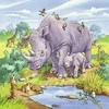 Puzzle 3x49 Wild Animals - RAVENSBURGER dėlionė