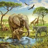 Ravensburger Dėlionė 3x49 vnt. - Pasaulio gyvūnai