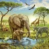 Ravensburger Dėlionė 3x49 vnt. - Pasaulio gyvūnai