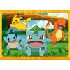 Dėlionė Ravensburger 120042860 puzzle Pokémon