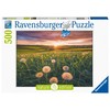 Ravensburger Dėlionė 500 vnt. - Laukas