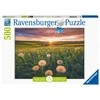 Ravensburger Dėlionė 500 vnt. - Laukas