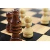 Tactic Šachmatai (metalinėje dėžutėje)