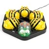 TTS „Bee-Bot“ ir „Mėlyna-Bot“ programuojamų robotų klasės rinkinys