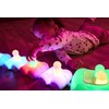 TTS Glow vagonai 4 vnt.
