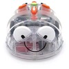 TTS Mėlyna-Bot programuojamas grindų robotas