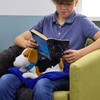 TTS Weighted Lap Buddies & Blanket - Beagle