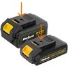 Akumuliatoriaus įkroviklis 20V 2A/4A Rebel Tools