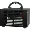 Ozono generatorius BLOW OZ-04 juodas ozonatorius 60 000 mg/h 140 W