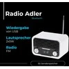 Adler AD 1185 Bluetooth radijas
