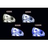 Xenon rinkinys 1103 H1 6000K, AMIO-01830
