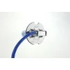 Halogeninės lemputės H3 12V 55W „Lumitec Limited“ +130% „Duo Amio-02102“