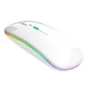Aptel Belaidė Pelė Su RGB Apšvietimu