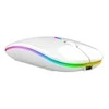 Aptel Belaidė Pelė Su RGB Apšvietimu