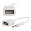 Hertz Adapteris AUX 3,5mm - USB