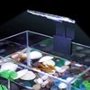 ATL LED akvariumo lempa 5W