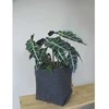 BERTONI EE Paprastas XXL puodo užvalkalas - 30 cm