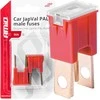 „Japval PAL“ automobilio saugikliai, 2 vnt., 50A, amio-03399