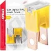 „Japval PAL“ automobilio saugikliai, 2 vnt., 60A, amio-03400