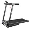 REBEL ACTIVE modelis RBA-1018 Sulankstomas elektrinis bėgimo takelis