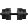 Hantle Bituminiai reguliuojamo svorio hanteliai 1x20kg REBEL ACTIVE