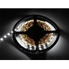Blow Šaltai balta LED juosta 5050 5m/300