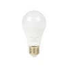 Blow LED lemputė E27 10W A60 230V