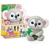 Cobi Maskotka interaktywna little live pets - moja koala