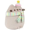 Pusheen - pliušinis talismanas su skara ir kepure 24 cm