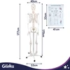 Dantų šepetėlis Szkielet człowieka- 170cm Glimz