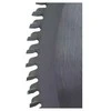 Dedra Diskinis pjuklas mediui su kietm 100d 450x30mm