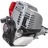 Dedra benzininė žoliapjovė 900W 35,8cc 4T DED8716