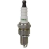 Dedra Udegimo vake F7RTC iki 43CP43L51C51CA2153C