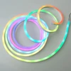Eco Light Lanksti LED neoninė juosta RGB DC5V USB 5 m