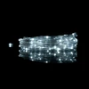 Eco Light Magiczne lampki 100 led 6500k 10m dc5v