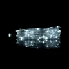 Eco Light Magiczne lampki 200 led 6500k 20m dc5v