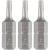 Bity Torx antgaliai T10 x 25 mm, 3 vnt.