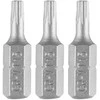 Bity Torx antgaliai T15 x 25 mm, 3 vnt.