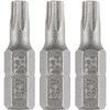 Bity Torx antgaliai T25 x 25 mm, 3 vnt.