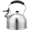 King Hoff Virdulys su gwizdkiem, 2.5l, stali nierdzewnej, kinghoff, kh-1859