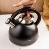 KLAUSBERG KB-7911 plieno virdulys su švilpuku 2,5 l