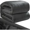 Pledas 1,6x2m - pilka Ruhhy 22695