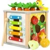 ISO TRADE Medinis edukacinis kubas - Kruzzel sorter 22566, 5-in-1