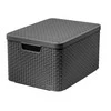 Curver Daiktadėžė su dangčiu Style, metalinė sidabrinė, 30l, L