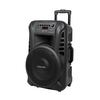 Kruger & Matz Aktyvus garsiakalbis (su 2 belaidžiais mikrofonais UHF, SD, Bluetooth, FM, USB) 40 W