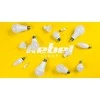 Rebel LED lempa A60 12W E27 6500K 230V